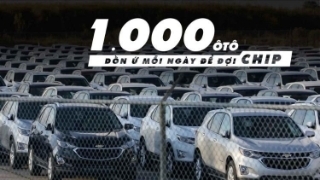 1.000 ôtô dồn ứ mỗi ngày để đợi chip