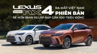 Lexus RX 2023 ra mắt Việt Nam với 4 bản, giá từ 3,43 tỷ, rẻ hơn BMW X5 lắp ráp gần 600 triệu đồng