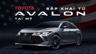 Toyota sắp khai tử Avalon tại Mỹ