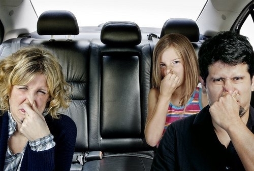 Cách khử mùi trong xe ô tô mới tốt nhất