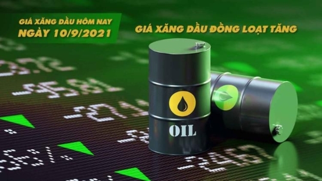 Giá xăng dầu hôm nay ngày 10/9/2021: Giá xăng dầu đồng loạt tăng
