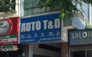 Auto T & D